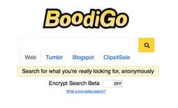 Boodigo site thumbnail