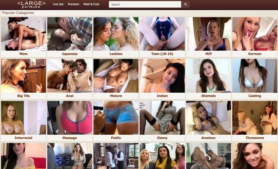 LargePornTube & 32+ Best Porn Search Engines Like LargePornTube.com