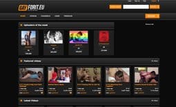 GayForIt site thumbnail