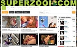 Superzooi site thumbnail