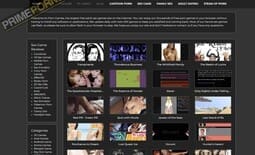 AdultGamesCollector Review & Similar Porn Sites - Prime Porn List